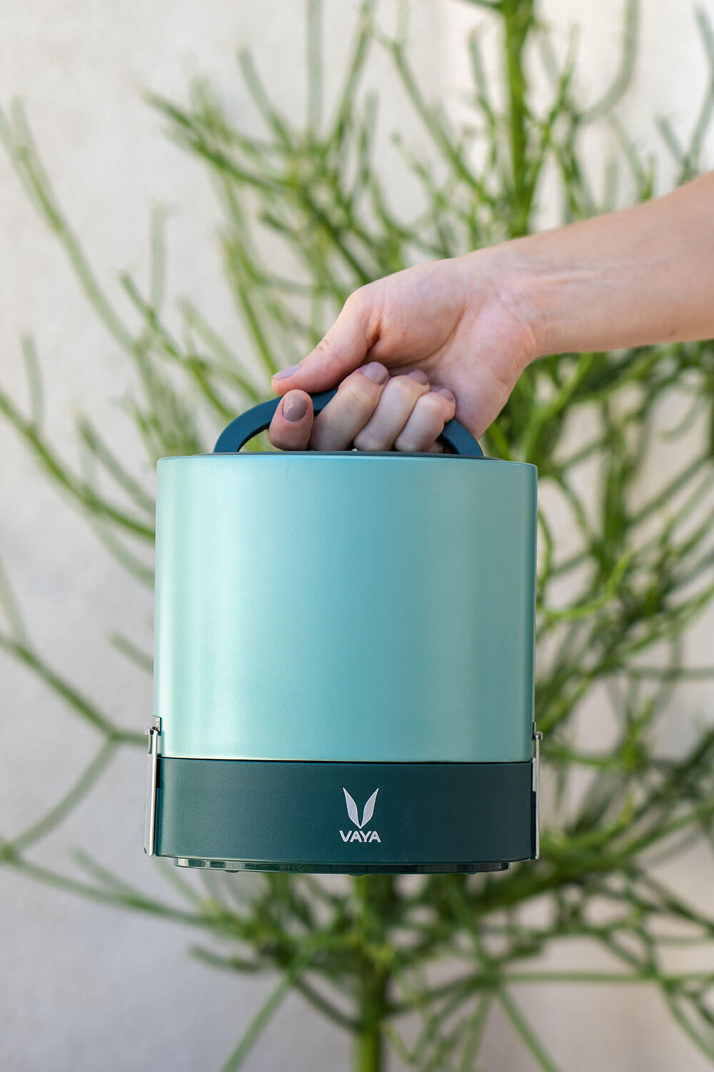 Vaya Drynk - What You Get